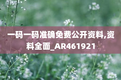 一码一码准确免费公开资料,资料全面_AR461921