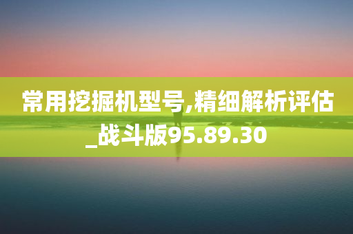 常用挖掘机型号,精细解析评估_战斗版95.89.30