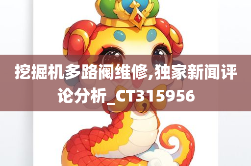 挖掘机多路阀维修,独家新闻评论分析_CT315956