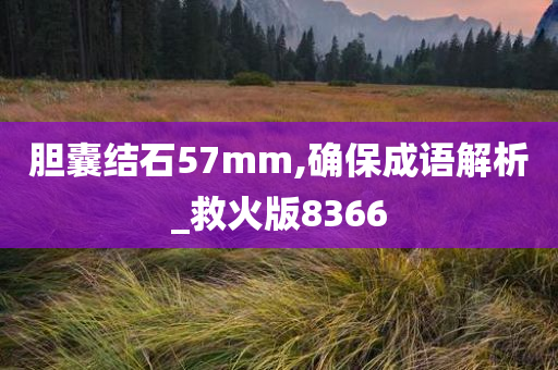 胆囊结石57mm,确保成语解析_救火版8366