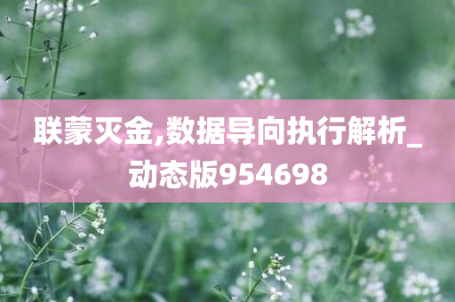 联蒙灭金,数据导向执行解析_动态版954698