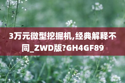 3万元微型挖掘机,经典解释不同_ZWD版?GH4GF89