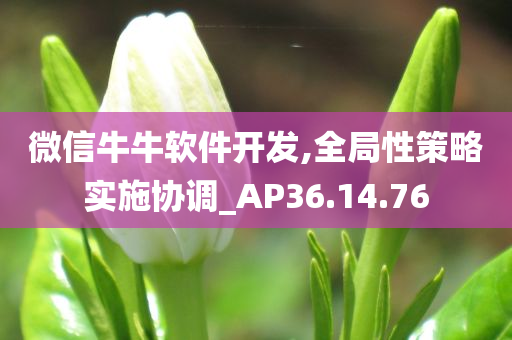 微信牛牛软件开发,全局性策略实施协调_AP36.14.76