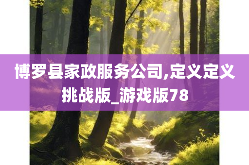 博罗县家政服务公司,定义定义挑战版_游戏版78