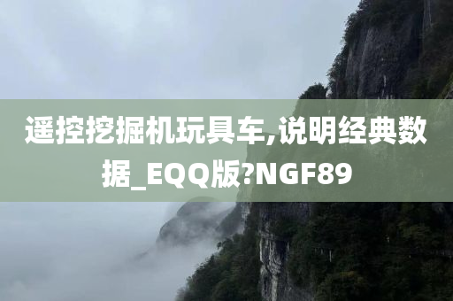 遥控挖掘机玩具车,说明经典数据_EQQ版?NGF89