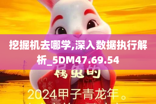 挖掘机去哪学,深入数据执行解析_5DM47.69.54