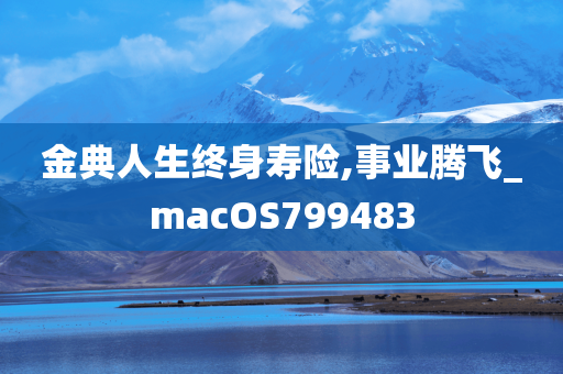 金典人生终身寿险,事业腾飞_macOS799483