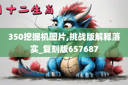 350挖掘机图片,挑战版解释落实_复刻版657687