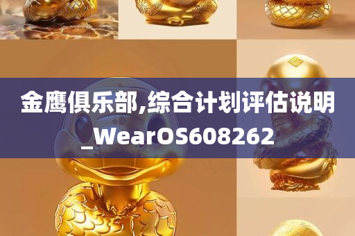 金鹰俱乐部,综合计划评估说明_WearOS608262