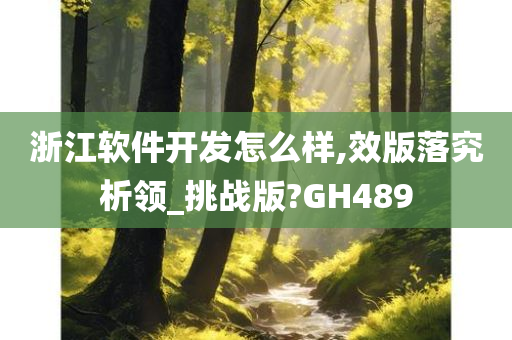 浙江软件开发怎么样,效版落究析领_挑战版?GH489