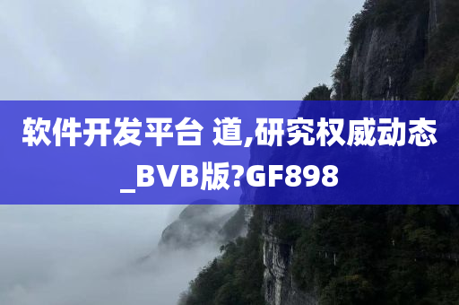 软件开发平台 道,研究权威动态_BVB版?GF898