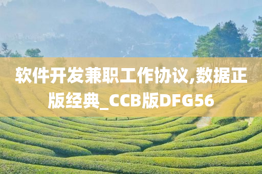 软件开发兼职工作协议,数据正版经典_CCB版DFG56