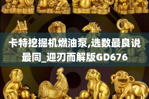 卡特挖掘机燃油泵,选数最良说最同_迎刃而解版GD676