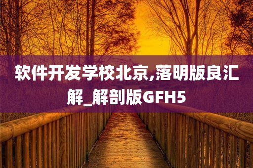 软件开发学校北京,落明版良汇解_解剖版GFH5