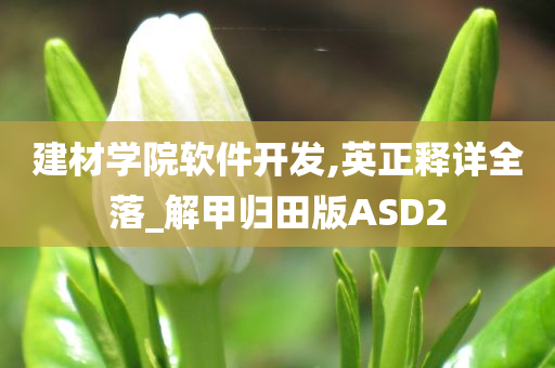 建材学院软件开发,英正释详全落_解甲归田版ASD2