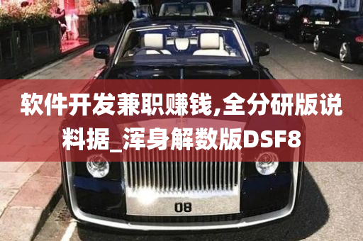 软件开发兼职赚钱,全分研版说料据_浑身解数版DSF8