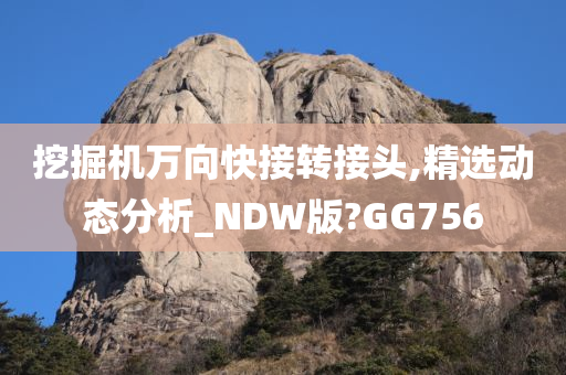 挖掘机万向快接转接头,精选动态分析_NDW版?GG756