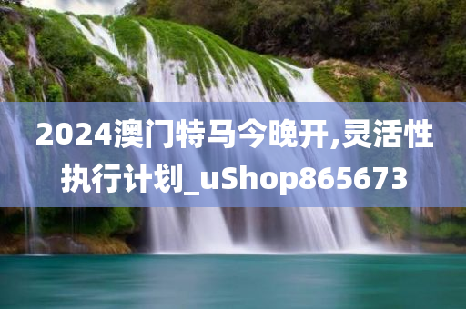 2024澳门特马今晚开,灵活性执行计划_uShop865673