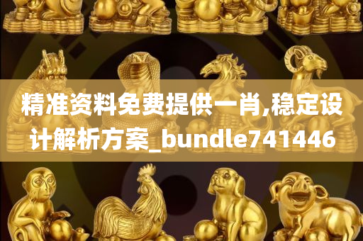 精准资料免费提供一肖,稳定设计解析方案_bundle741446