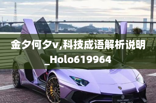 金夕何夕v,科技成语解析说明_Holo619964