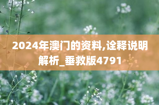 2024年澳门的资料,诠释说明解析_垂救版4791