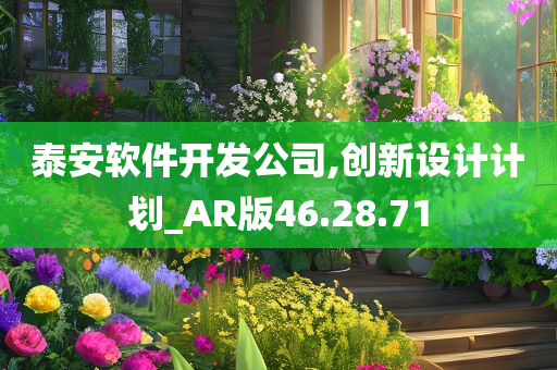 泰安软件开发公司,创新设计计划_AR版46.28.71