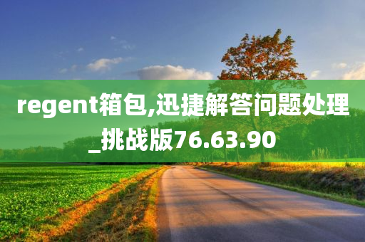 regent箱包,迅捷解答问题处理_挑战版76.63.90