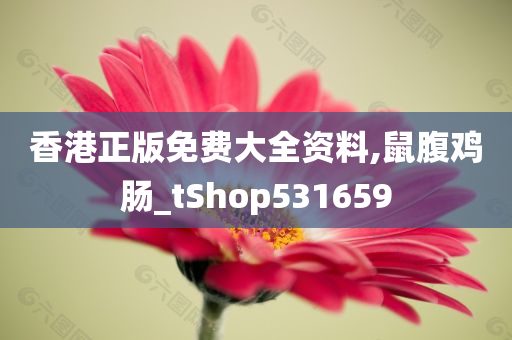 香港正版免费大全资料,鼠腹鸡肠_tShop531659