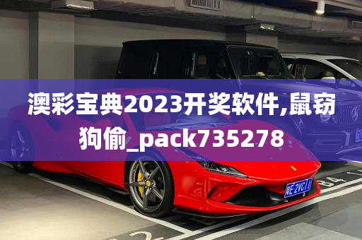 澳彩宝典2023开奖软件,鼠窃狗偷_pack735278