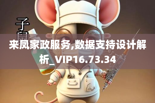 来凤家政服务,数据支持设计解析_VIP16.73.34