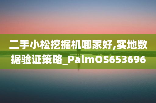 二手小松挖掘机哪家好,实地数据验证策略_PalmOS653696