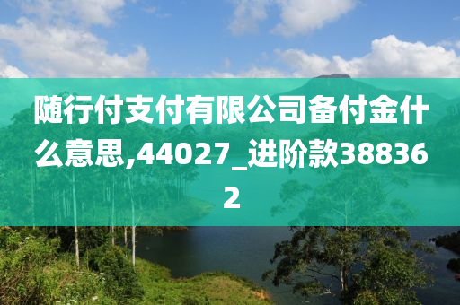 随行付支付有限公司备付金什么意思,44027_进阶款388362