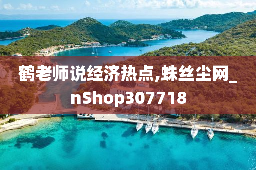 鹤老师说经济热点,蛛丝尘网_nShop307718