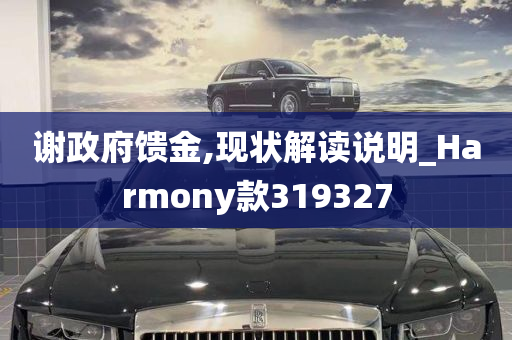 谢政府馈金,现状解读说明_Harmony款319327