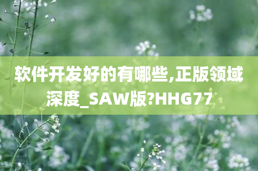 软件开发好的有哪些,正版领域深度_SAW版?HHG77