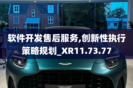 软件开发售后服务,创新性执行策略规划_XR11.73.77