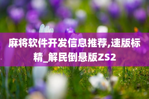 麻将软件开发信息推荐,速版标精_解民倒悬版ZS2