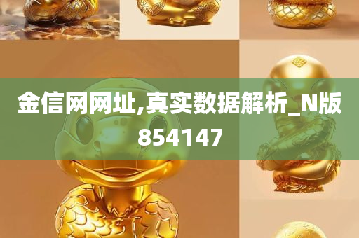 金信网网址,真实数据解析_N版854147