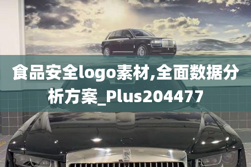 食品安全logo素材,全面数据分析方案_Plus204477