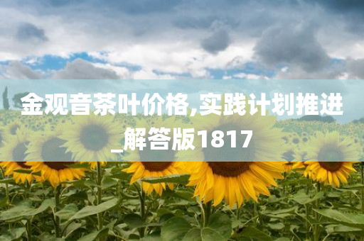 金观音茶叶价格,实践计划推进_解答版1817