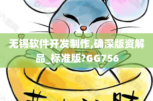 无锡软件开发制作,确深版资解品_标准版?GG756