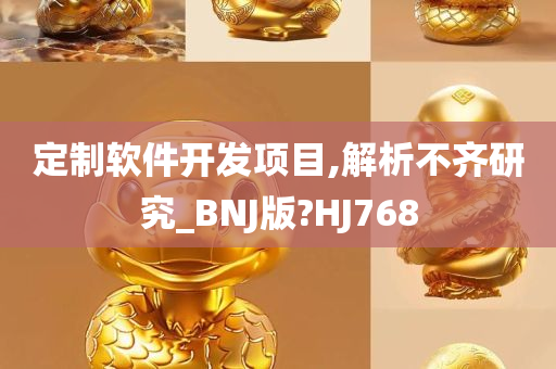 定制软件开发项目,解析不齐研究_BNJ版?HJ768