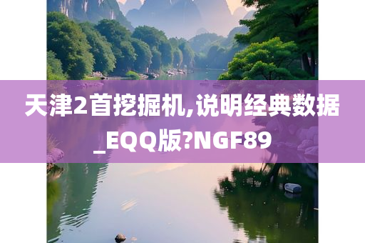 天津2首挖掘机,说明经典数据_EQQ版?NGF89