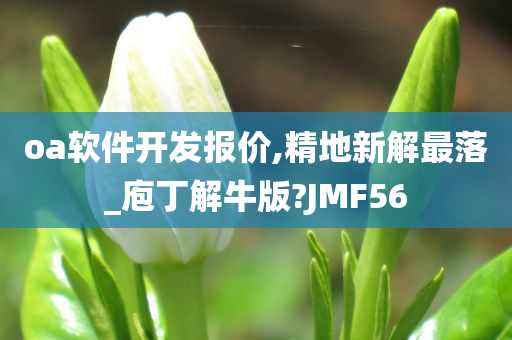 oa软件开发报价,精地新解最落_庖丁解牛版?JMF56