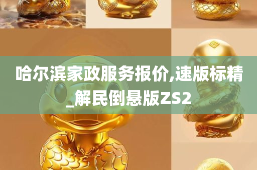 哈尔滨家政服务报价,速版标精_解民倒悬版ZS2