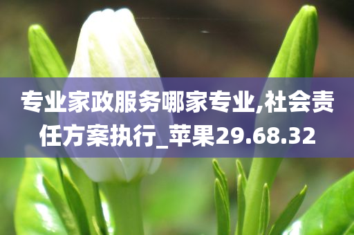 专业家政服务哪家专业,社会责任方案执行_苹果29.68.32