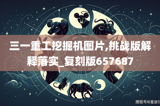 三一重工挖掘机图片,挑战版解释落实_复刻版657687