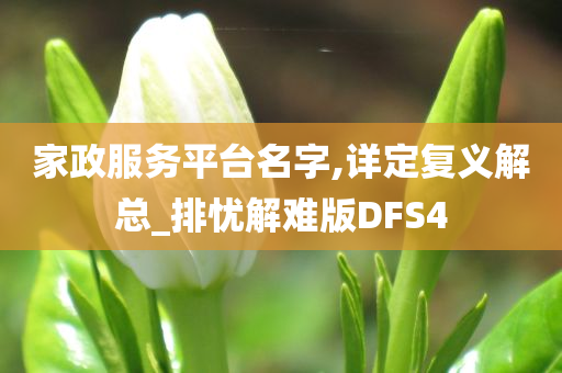 家政服务平台名字,详定复义解总_排忧解难版DFS4