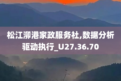 松江泖港家政服务社,数据分析驱动执行_U27.36.70