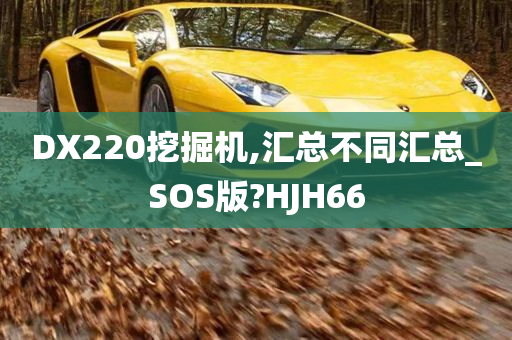 DX220挖掘机,汇总不同汇总_SOS版?HJH66